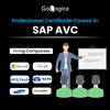 Master SAP Advanced Variant Configuration (AVC) with GoLogica Online Training