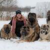 Top Caucasian Shepherds in the country