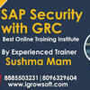 SAP GRC Online Training in Hyderabad | Igrowsoft