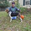 Treeing Walker Coonhound Puppies