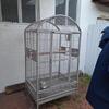 Parrot large cage