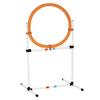 Shop Dog Agility Equipment for Training & Fun  - K9 Escapade