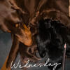 Doberman puppies Oct 28
