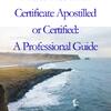 How to Get Your Puerto Rico Birth Certificate Apostilled or Certified: A Professional Guide