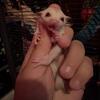 Joey 