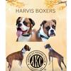 AKC Boxers