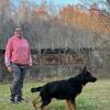 AKC Male German Shepherd ( 5 months old)