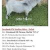 Adga polled silver Nigerian dwarf buck