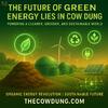The Future of Green Energy Lies in Cow Dung – Sustainable Power from Nature