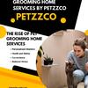 Professional Mobile Pet Grooming Services by Petzzco | Grooming Your Furry Friends with Care