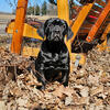 World Champion W-Urus Custodi Nos Cane Corso puppies 