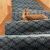 FREE Female PureBred Mini Rex