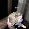 Blue Merle bully's born 5/11/25