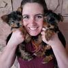 Yorkie available