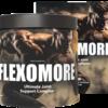 Flexomore The health of the joints