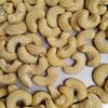 RAJKOT W180 CASHEW NUTS BEST PRICE IN PraDi