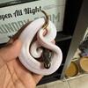 Male pied ball python 