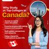 Why Study at Top Colleges in Canada? World-Class Education & Global Opportunities