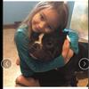 Micro bully