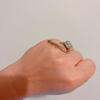 Mourning gecko