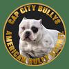 Bully Adults and Puppies available