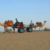 Top 10 Experiences to Enjoy on a Jaisalmer Camel Safari | TDunes