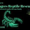 Non Profit Reptile Rescue/Rehome & Surrender