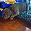The Best Razors Edge $800 worldwide DOG register