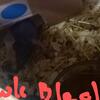 Skinny Pigs