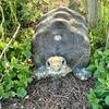 Loving Home Needed for Tyreece, a 15-Year-Old Red-Footed Tortoise