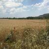 For Sale 9500 Sqm Investment Plot By Owner Near Sunny Beach Bulgaria