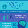 Unlock Energy, Boost Brain Health & Promote Healthy Aging with NAD+