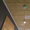 Turn Boring Ceilings Wow with Wood Wool Ceiling from Tranquil