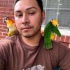 White Bellied Caique