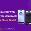 Maximize ROI With Our Fully Customizable Binance Clone Script