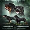 AKC Rottweiler pups