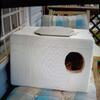 Thick Stray Cat Winter Homes