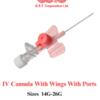 High-Performance IV Cannula with Wings & Port