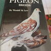 Encyclopedia of Pigeon Breeds Hardcover