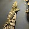 Leachie gecko