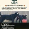 Giant Schnauzer Litter 