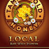 Local Tampa Honey, Tampa Gold Honey