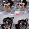 Baby girl French 