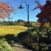Willamette Valley Wine Tours