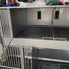 Dog Kennel