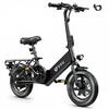 Folding Electric Bike for Young Adults or Teens FREE SHIPPING