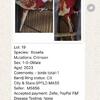 Birds online auction