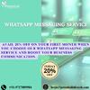 WhatsApp Messaging Service for Fast Business Growth