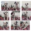 DALMATIAN PUPS