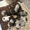 GSP puppies 